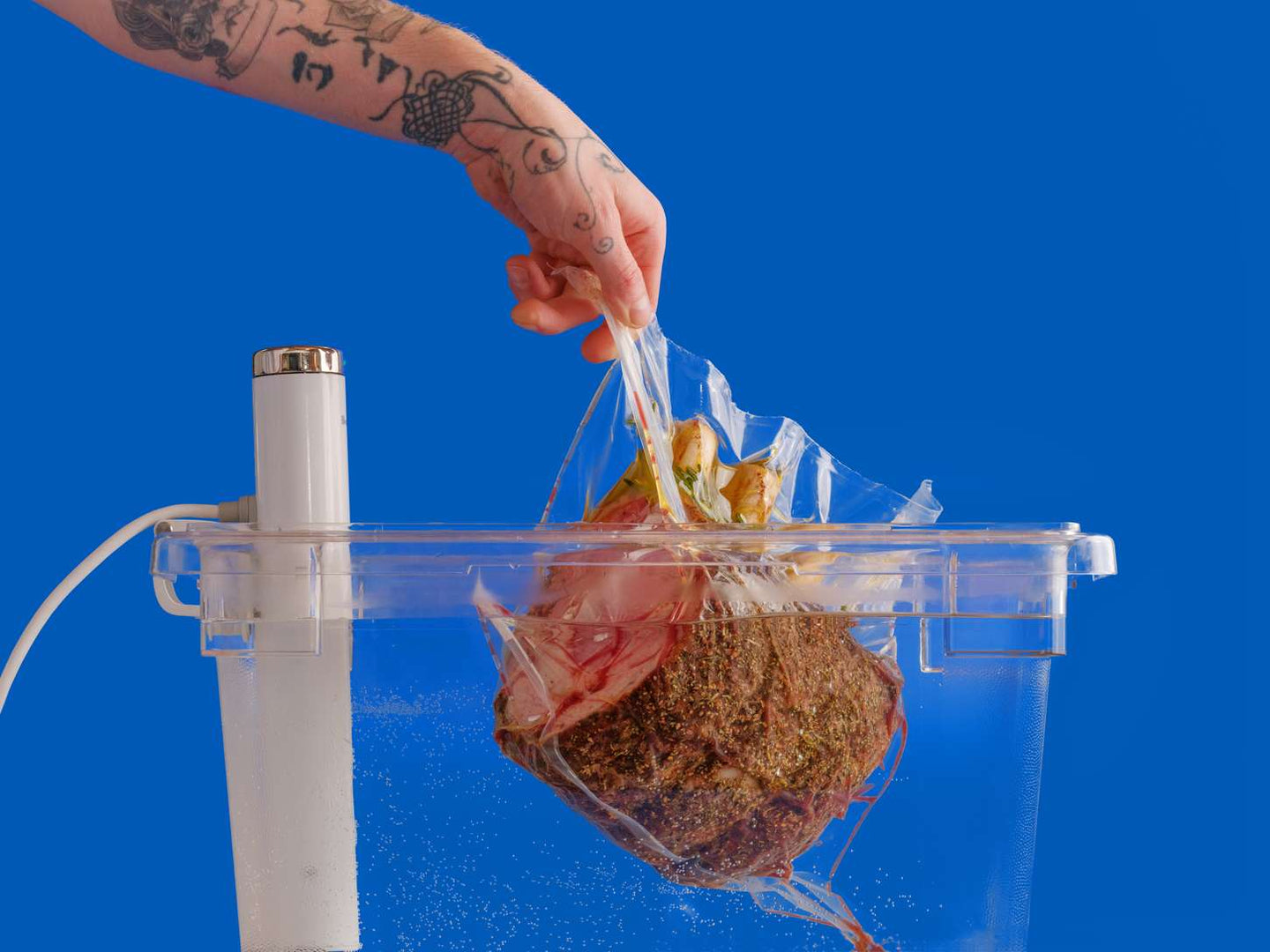 Técnica Sous Vide - Cocción al vacío de precisión